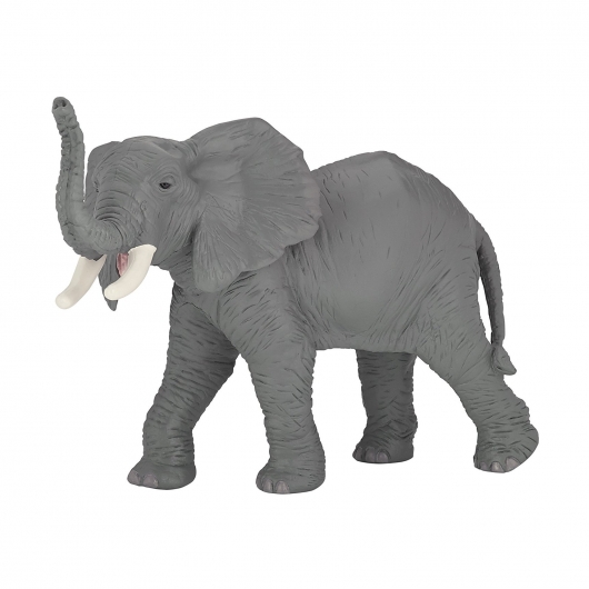 Трубящий слон