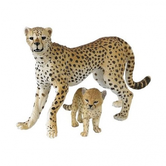 Гепард с детёнышем