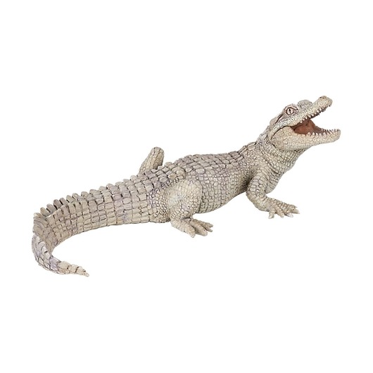 Белый крокодильчик