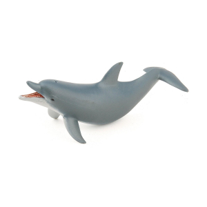 Играющий дельфин