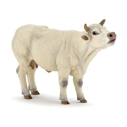 Шаролезская корова