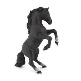Черная лошадь на дыбах