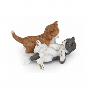 Играющие котята