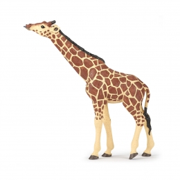 Жираф с поднятой головой