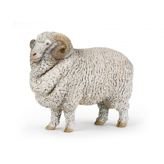 Мериносная овца