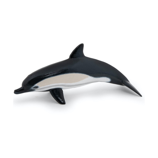 Обыкновенный дельфин